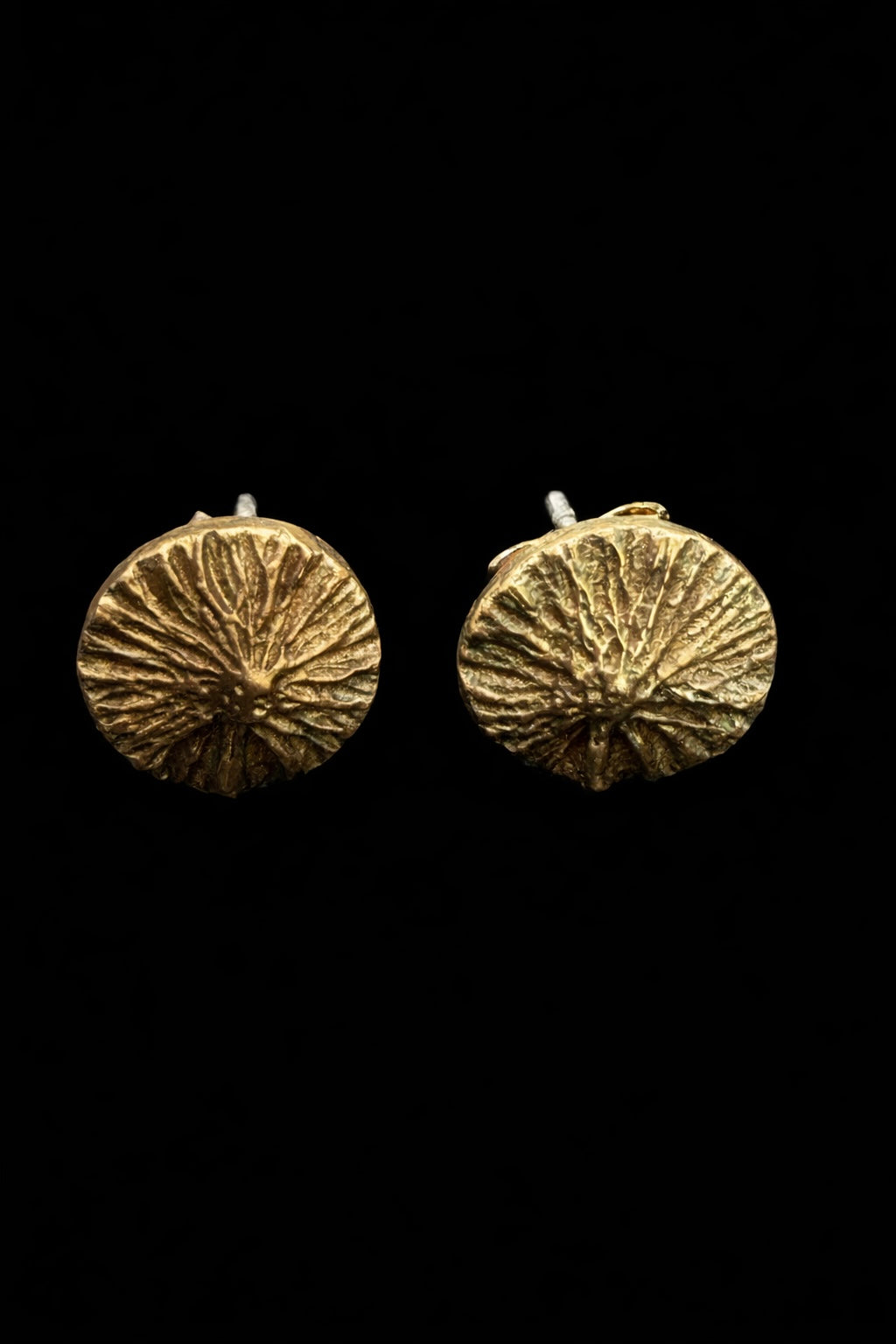 Sunny Bronze Earrings