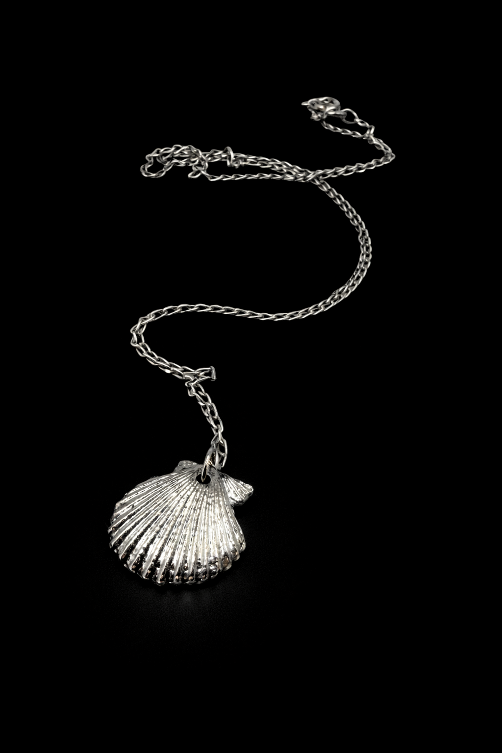 Silver Clam Necklace