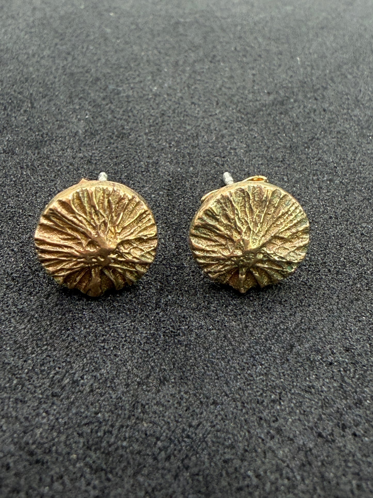 Sunny Bronze Earrings