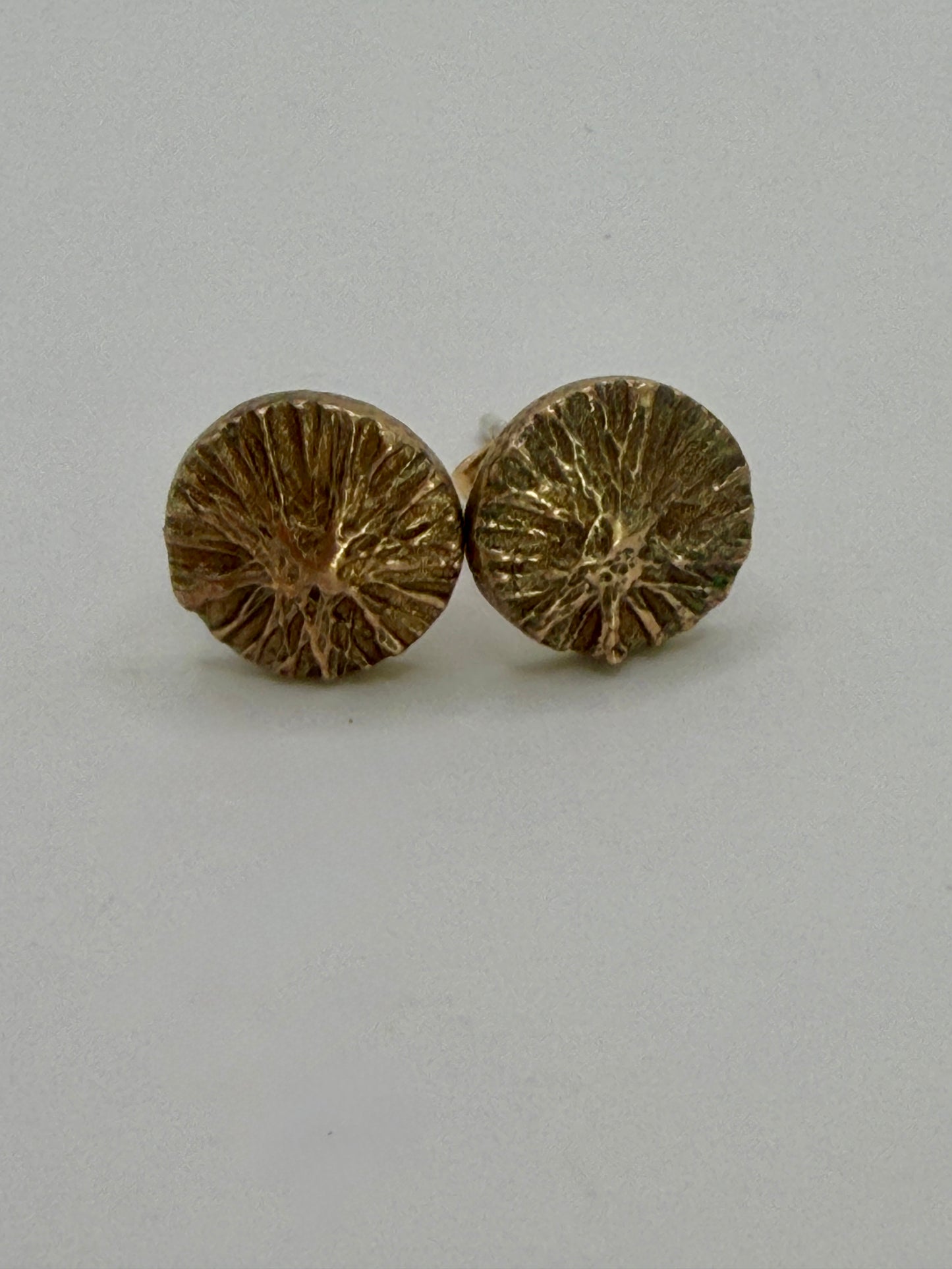 Sunny Bronze Earrings