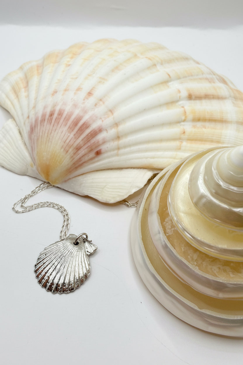 Silver Clam Necklace