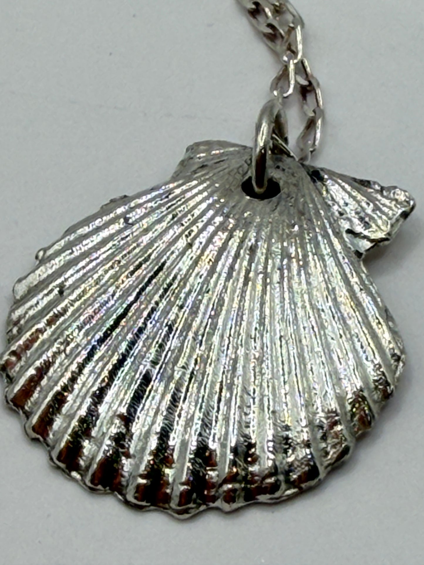 Silver Clam Necklace