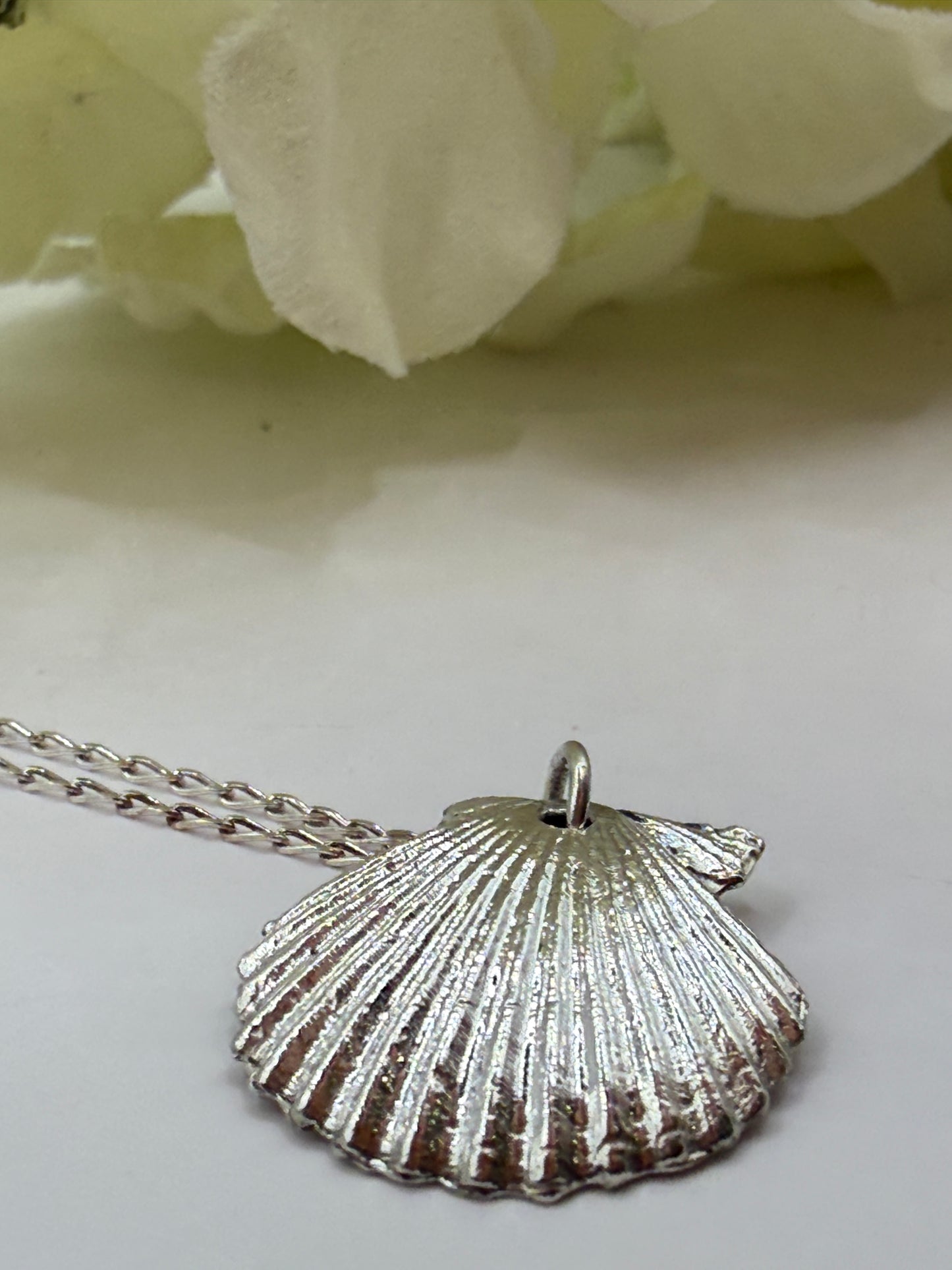 Silver Clam Necklace