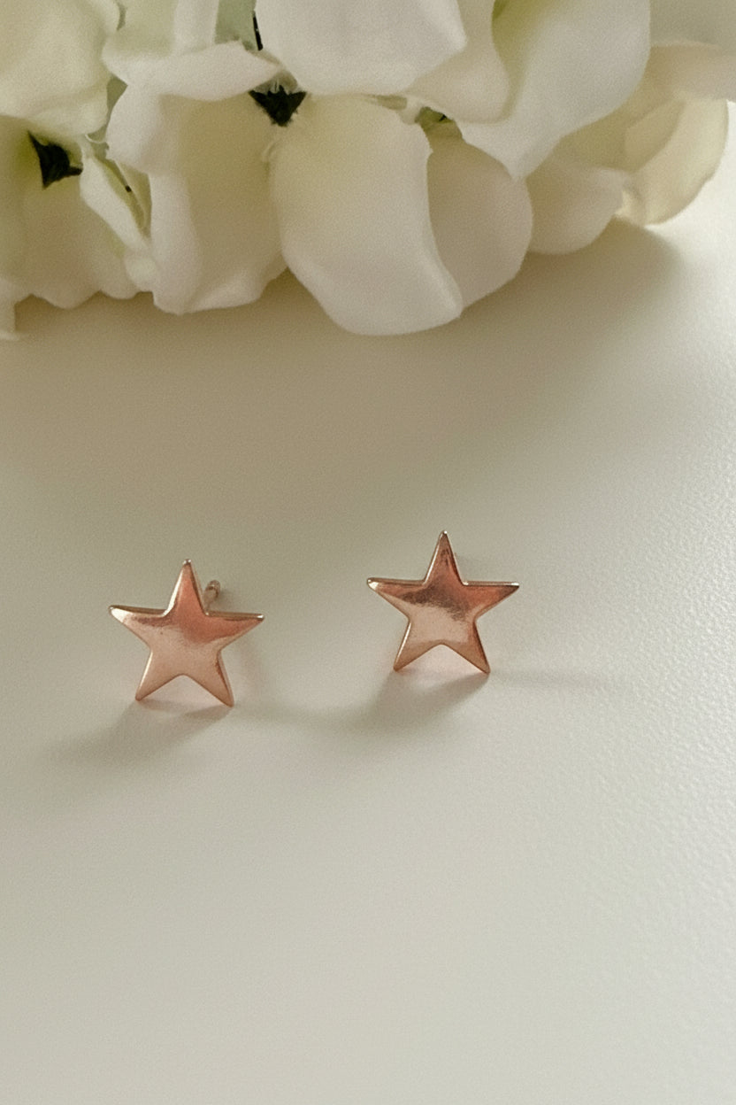 Sunny Bronze Star Earrings