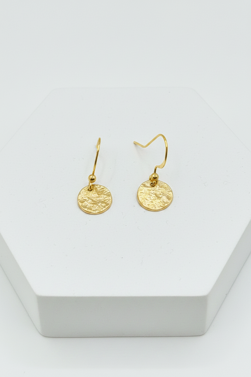 Sunny Bronze Circle Drop Earrings