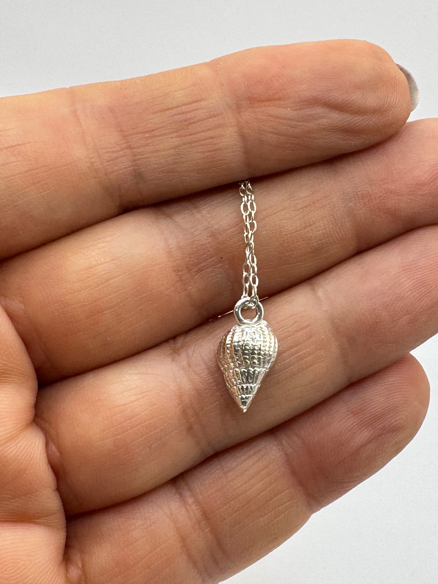 Silver Shell Necklace