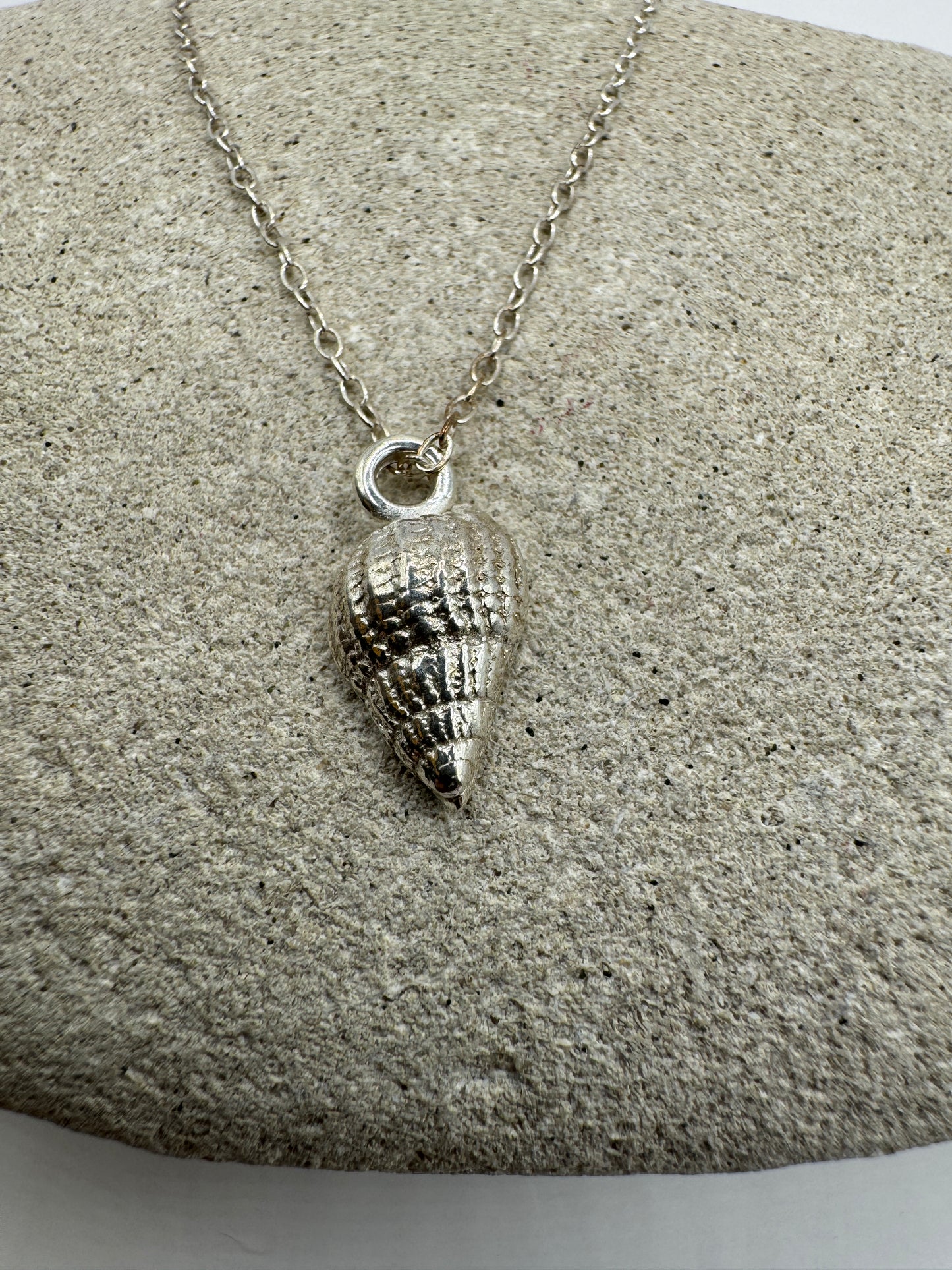 Silver Shell Necklace
